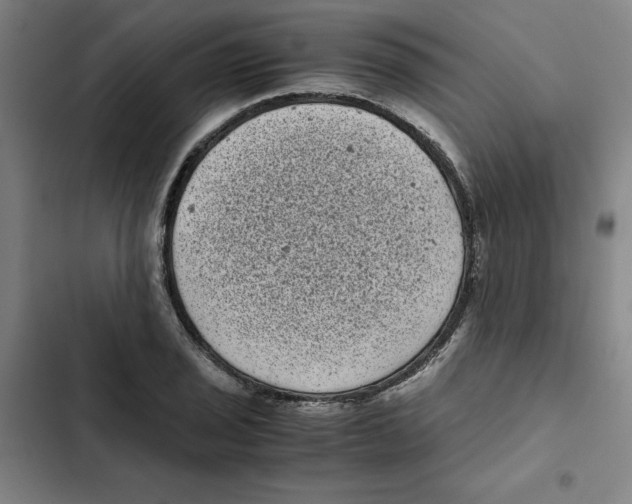 X0000102341029200808291133