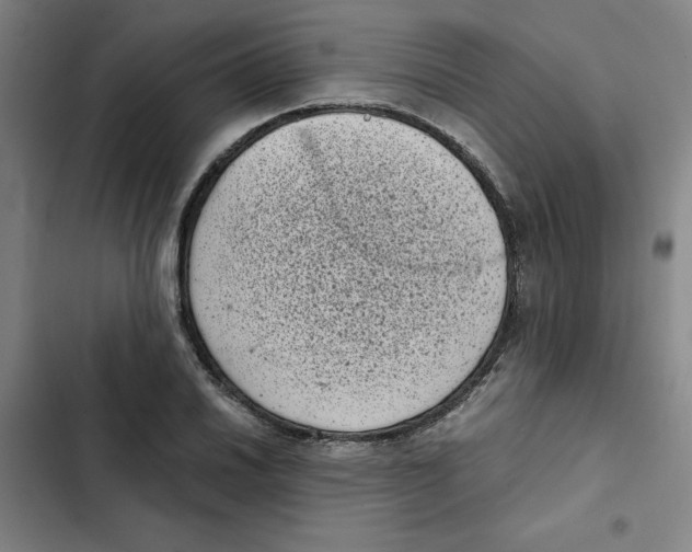 X0000102341030200808291133