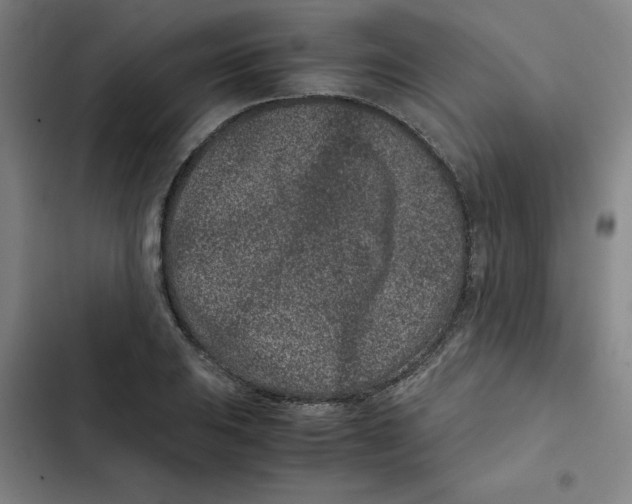 X0000102341031200808291133