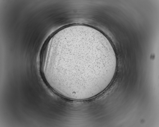 X0000102341032200808291133