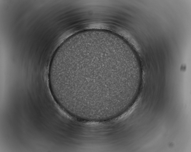 X0000102341033200808291133