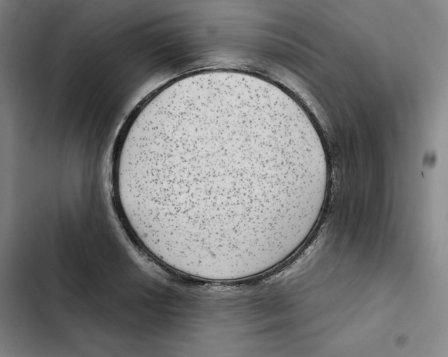 X0000102341034200808291133