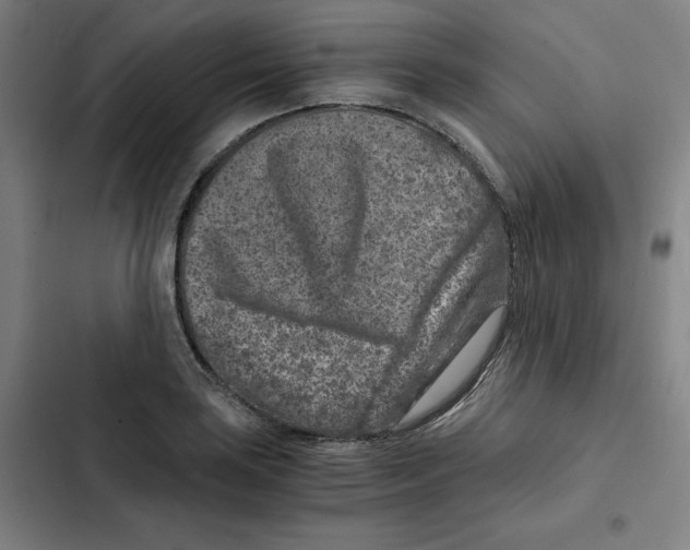 X0000102341035200808291133