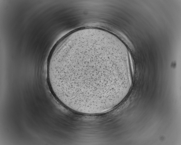 X0000102341036200808291133