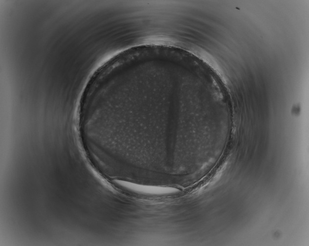 X0000102341037200808291133