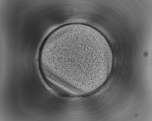 X0000102341038200808291133