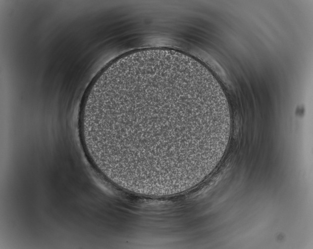 X0000102341039200808291133
