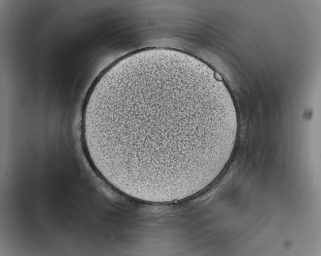 X0000102341040200808291133