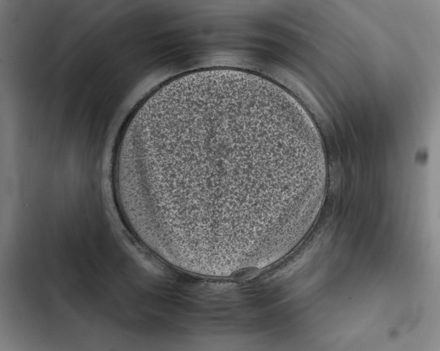 X0000102341043200808291133