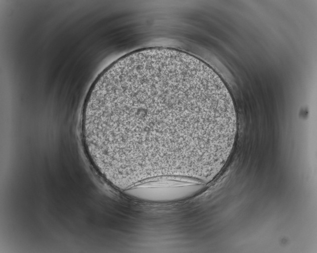 X0000102341044200808291133