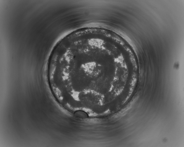 X0000102341045200808291133
