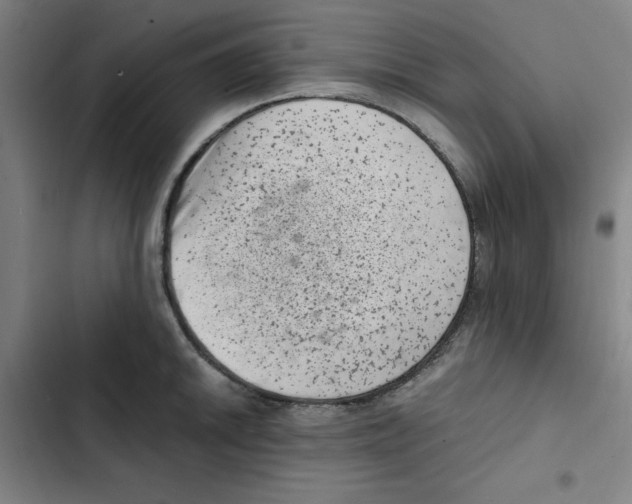 X0000102341046200808291133