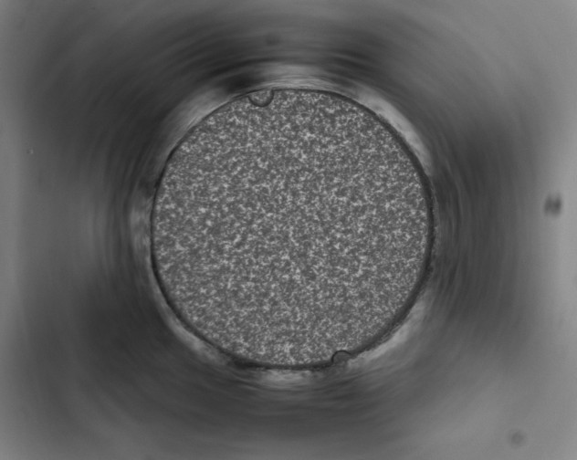 X0000102341049200808291133