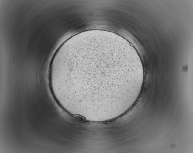 X0000102341050200808291133
