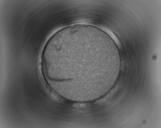 X0000102341051200808291133