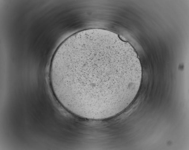X0000102341052200808291133