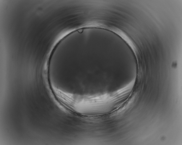 X0000102341053200808291133