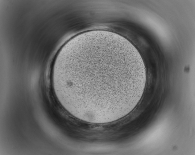 X0000102341054200808291133