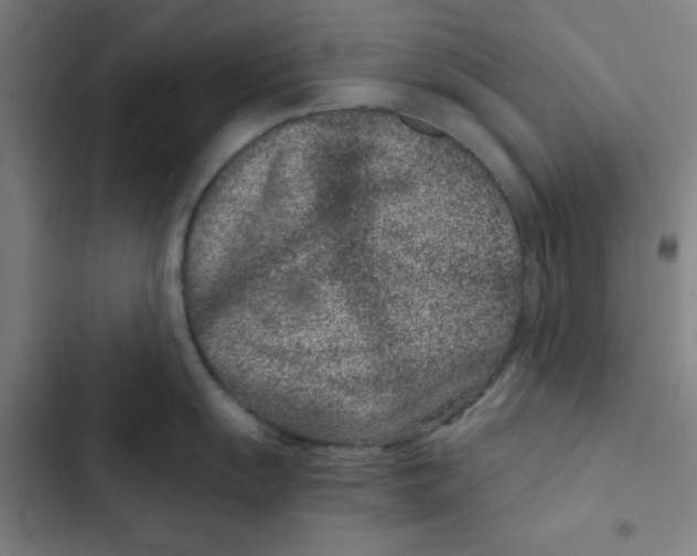 X0000102341055200808291133