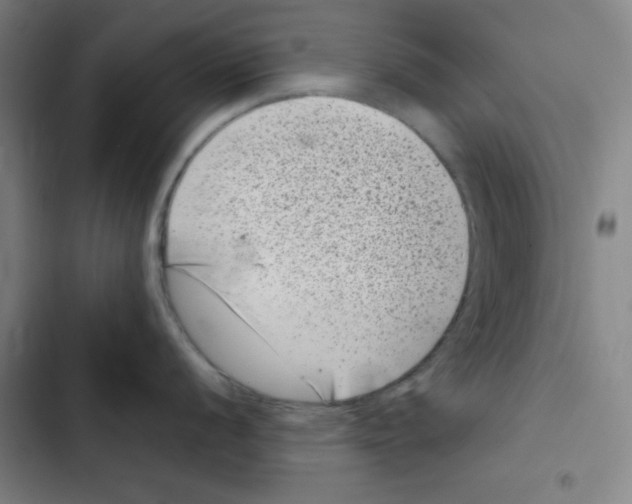 X0000102341056200808291133