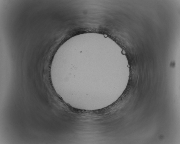 X0000102341057200808291132