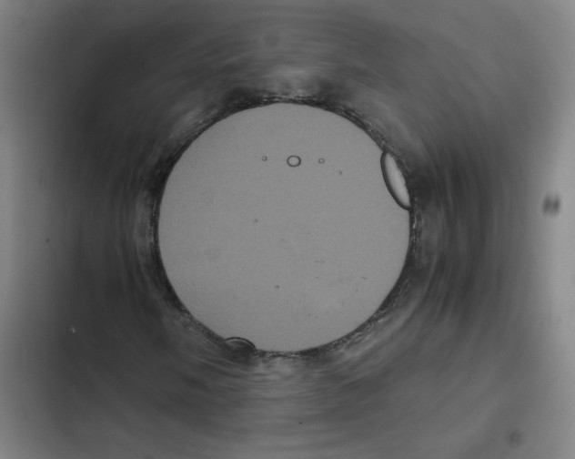 X0000102341058200808291132