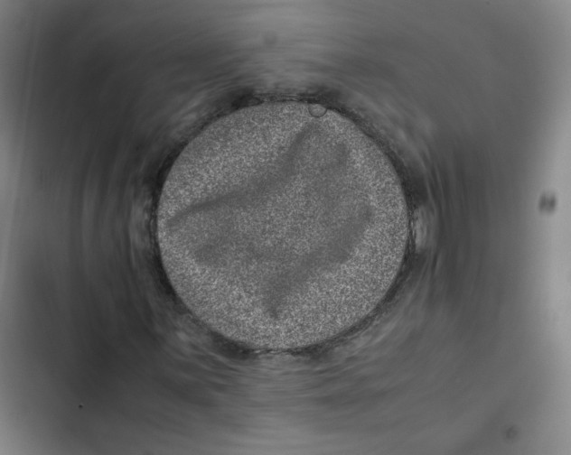 X0000102341059200808291132