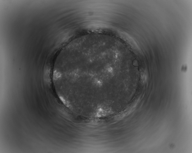 X0000102341060200808291132
