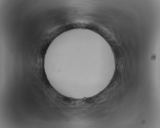 X0000102341061200808291132