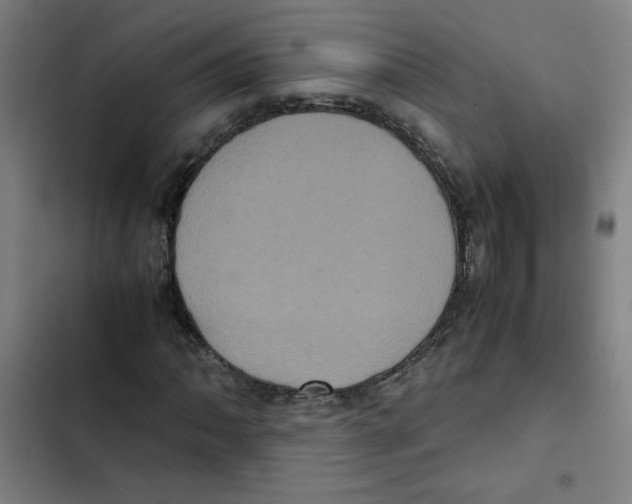 X0000102341062200808291132