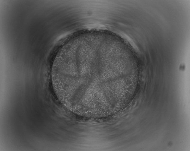 X0000102341063200808291132