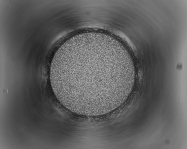 X0000102341064200808291132