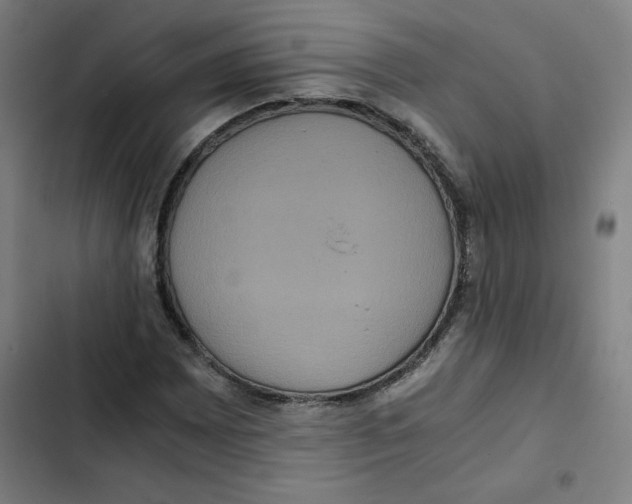 X0000102341065200808291132