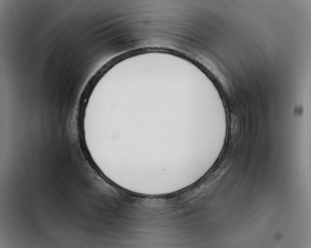 X0000102341068200808291132