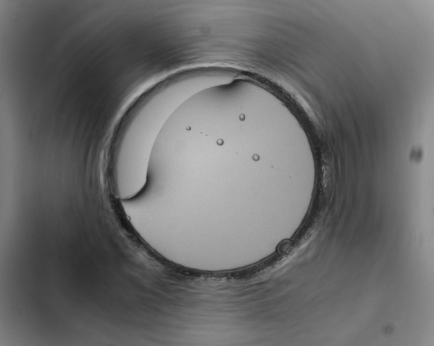 X0000102341069200808291132