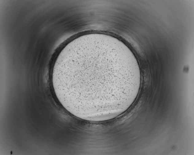 X0000102341070200808291132