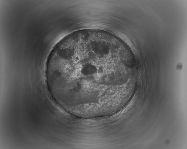 X0000102341071200808291132