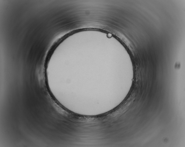 X0000102341072200808291132