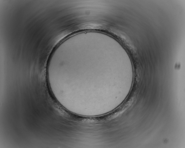 X0000102341073200808291132