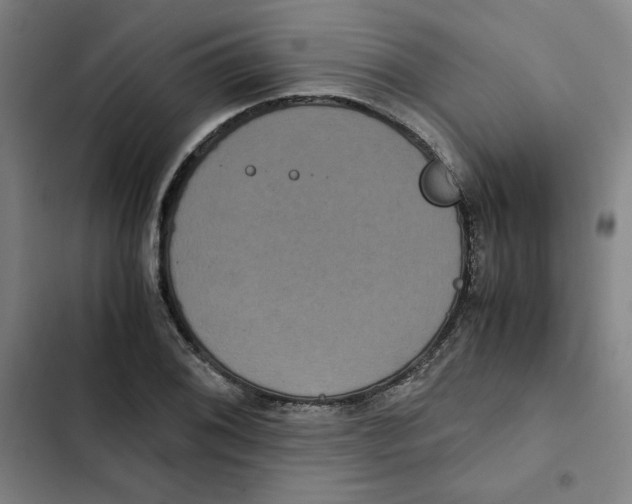 X0000102341076200808291132