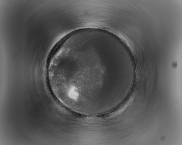 X0000102341077200808291132