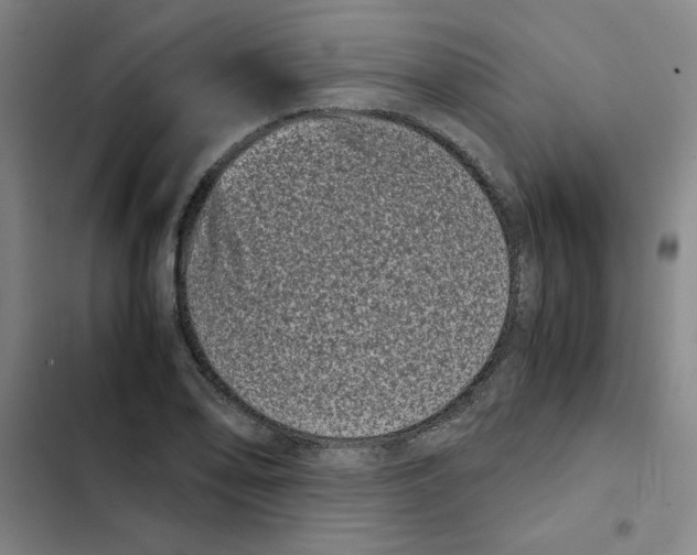 X0000102341078200808291132