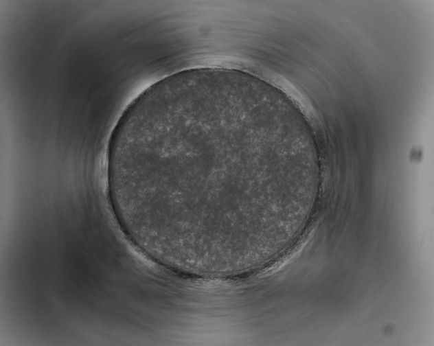X0000102341079200808291132