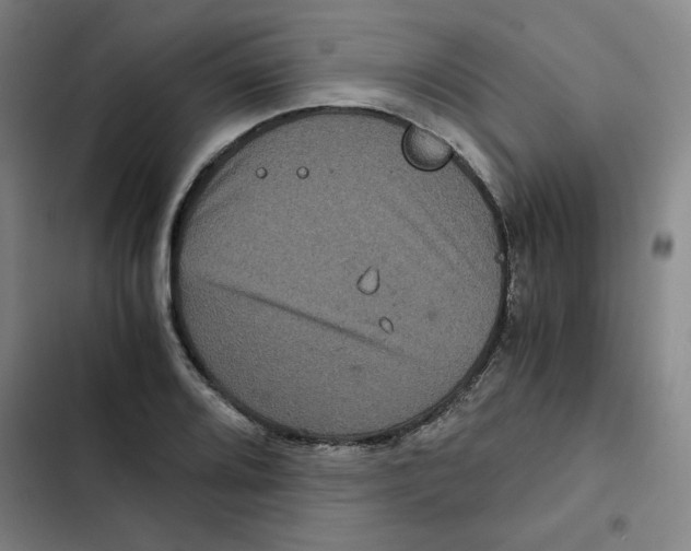 X0000102341080200808291132