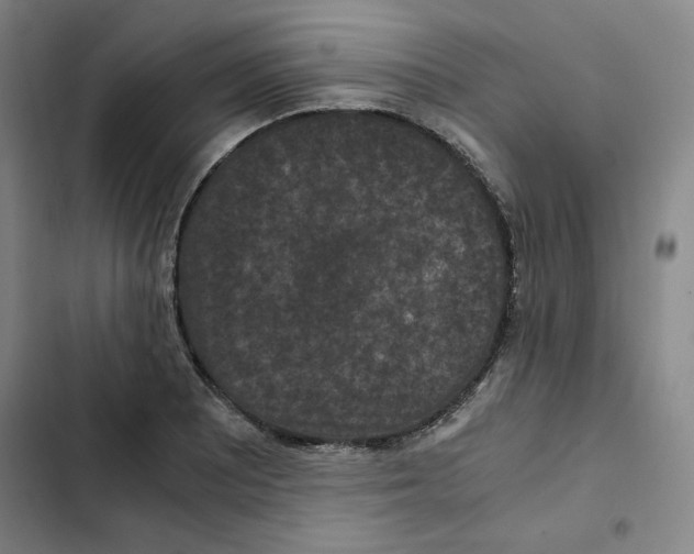 X0000102341081200808291132