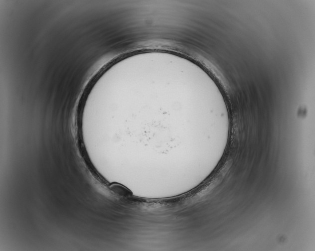 X0000102341082200808291132