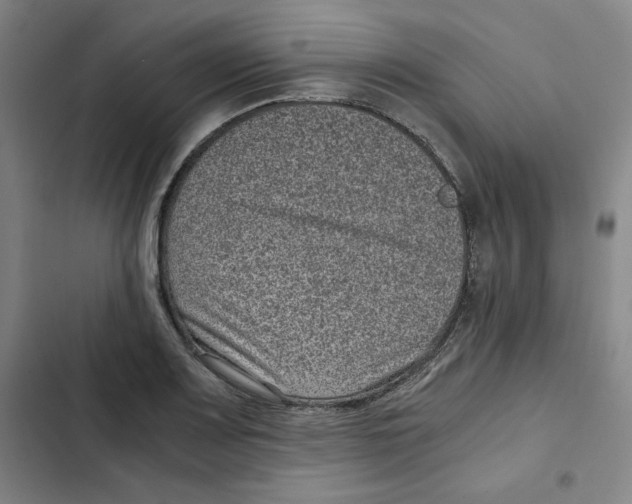 X0000102341083200808291132