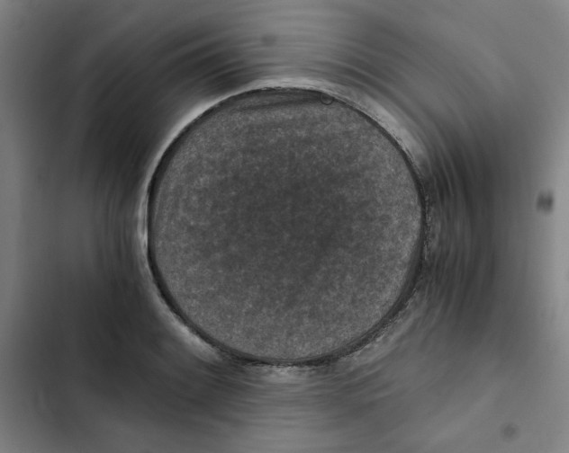X0000102341084200808291132