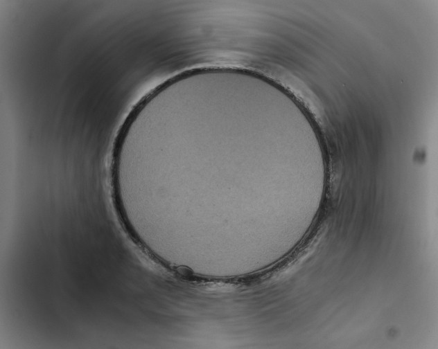 X0000102341085200808291132