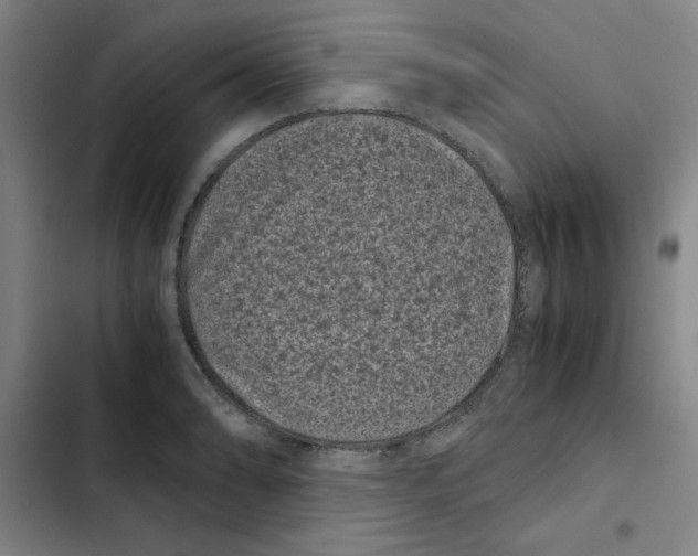 X0000102341086200808291132